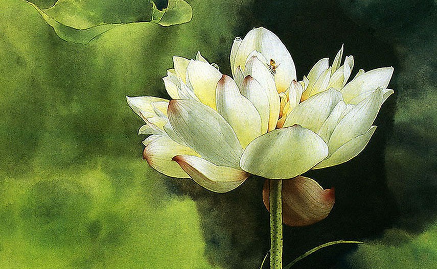 畫室各項(xiàng)規(guī)章制度